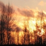 autumn-sun-3