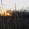 autumn-sun-4