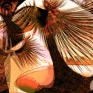 sunset-dance-3a