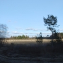 early-spring-1
