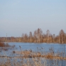 springtide-2a