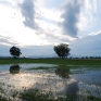 after-rain-2