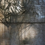 chiaroscuro1a