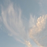 light-flight-1