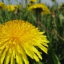 sun-time-4